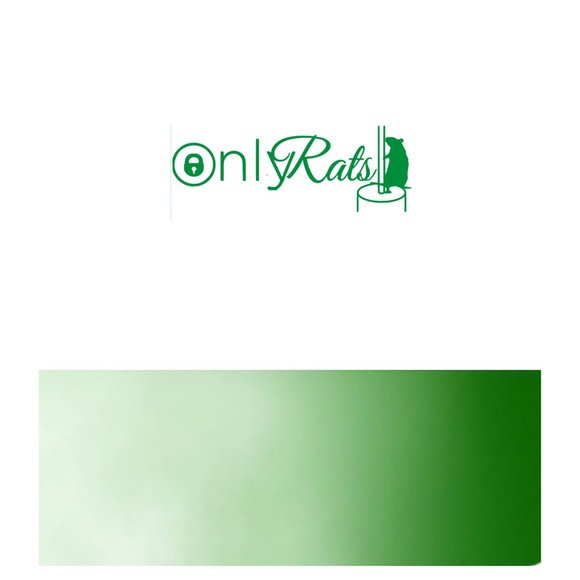 Only Rats- Funny Rats Vinyl Decals Car, Laptop, Windows, Phone Case Sticker - Picture 9 of 14